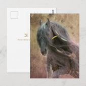 Zwarte Beauty Friese Paard - Ansichtkaart Briefkaart (Voorkant / Achterkant)