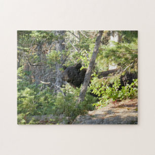 Zwarte beer bij Grand Teton Legpuzzel