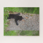 Zwarte Beer Cub | Grote rokerberg Legpuzzel (Horizontaal)