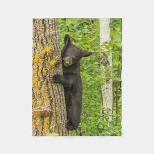 Zwarte Beer Cub | Minnesota Fleece Deken (Voorkant)