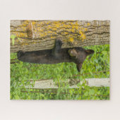 Zwarte Beer Cub | Minnesota Legpuzzel (Horizontaal)