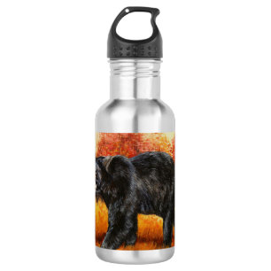 Zwarte beer in herfstbos waterfles