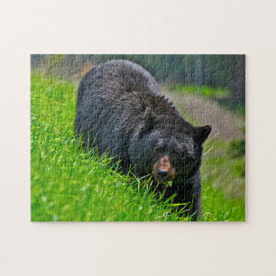 Zwarte Beer jagen, puzzle Legpuzzel