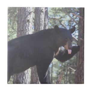 Zwarte Beer keramische tegel Tegeltje