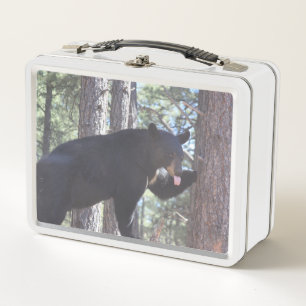 Zwarte Beer Lunchbox