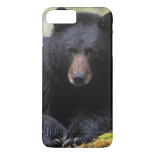 Zwarte beer op een oude boomstam in de iPhone 8 plus / 7 plus hoesje