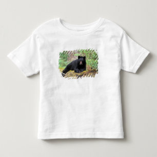 Zwarte beer op een oude boomstam in de kinder shirts