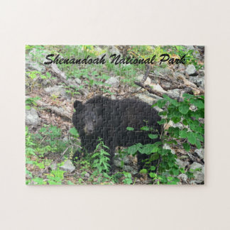 Zwarte beer Shenandoah National Park Virginia Legpuzzel