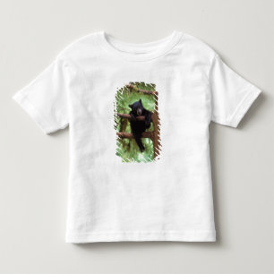 zwarte beer, Ursus americanus, welp in een boom Kinder Shirts
