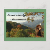 Zwarte Beer van de rokerberg Briefkaart (Voorkant)