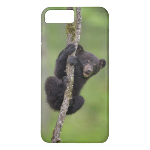 Zwarte beerwelp speelt, Tennessee iPhone 8 Plus / 7 Plus Hoesje