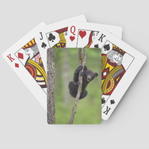 Zwarte beerwelp speelt, Tennessee Pokerkaarten