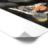 Zwarte Belgische herder Poster (Hoek)