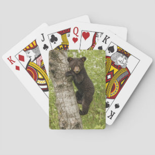 Zwarte berenjong in boom pokerkaarten