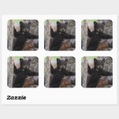 Zwarte berenwelp luiert vierkante sticker (Vel)
