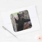 Zwarte berenwelp luiert vierkante sticker (Envelop)