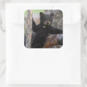 Zwarte berenwelp luiert vierkante sticker (Tas)