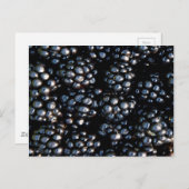 Zwarte bessen briefkaart (Voorkant / Achterkant)