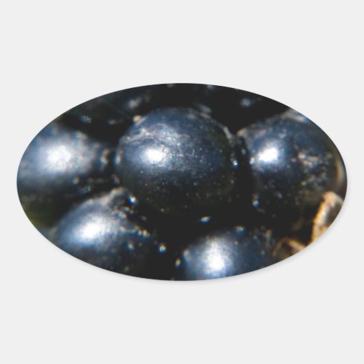 Zwarte bessen ovale sticker (Voorkant)