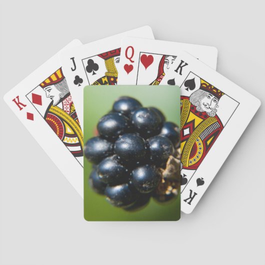 Zwarte bessen speelkaarten (Achterkant)