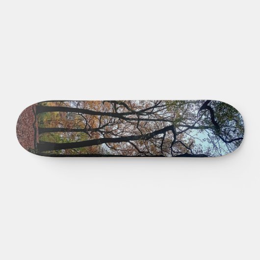 Zwarte bomen in het bos skateboard (Horizontaal)