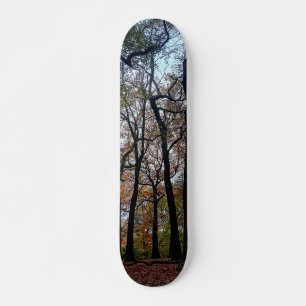 Zwarte bomen in het bos skateboard
