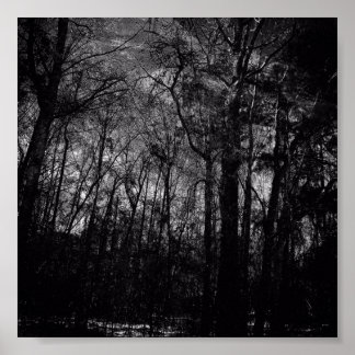 ZWARTE BOSSEN OP POSTER
