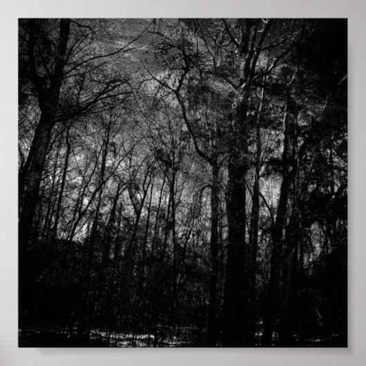 ZWARTE BOSSEN OP POSTER (Voorkant)