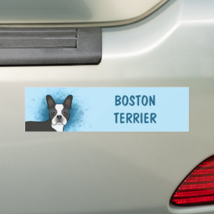 Zwarte Boston Terrier Cartoonhond op Blauwe Achter Bumpersticker