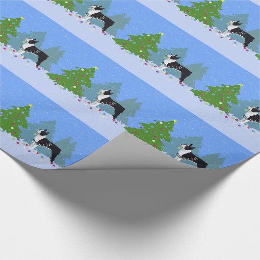 Zwarte Boston Terrier in kerstbos Cadeaupapier (Hoek)