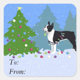 Zwarte Boston Terrier in kerstbos Vierkante Sticker