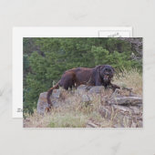 Zwarte Briefkaart (Voorkant / Achterkant)