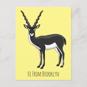 Zwarte-buck-antilope-afbeelding Briefkaart