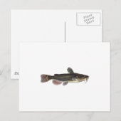 Zwarte Bullhead Catfish Art Briefkaart (Voorkant / Achterkant)