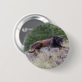 Zwarte Button (Voorkant /achterkant)