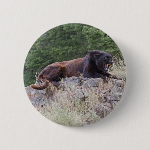 Zwarte Button