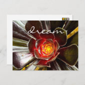 Zwarte Cactus Succulent Fotografie Droomscript Briefkaart (Voorkant / Achterkant)