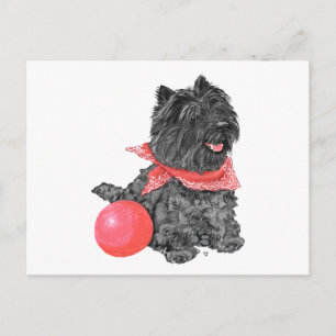 Zwarte Cairn Terrier met Bal Briefkaart
