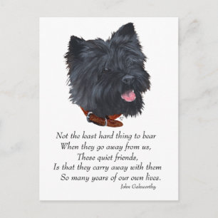 Zwarte Cairn Terrier Regenboogbrug Briefkaart