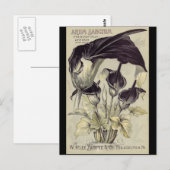 zwarte Calla Lilies Briefkaart (Voorkant / Achterkant)