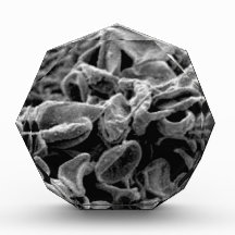 zwarte cellen of bacteriën