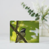 ZWARTE CHICKADEE-BRIEFKAART BRIEFKAART (Staand voorkant)