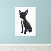 Zwarte Chihuahua puppy Canvas Afdruk (Insitu (Houten vloer))