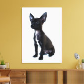 Zwarte Chihuahua puppy Canvas Afdruk (Insitu (Woonkamer))