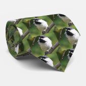 Zwarte cichorei stropdas (Opgerold)