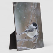 Zwarte cichorei - Zongvogel Fotoplaat (Zijkant)