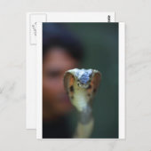 Zwarte cobra briefkaart (Voorkant / Achterkant)