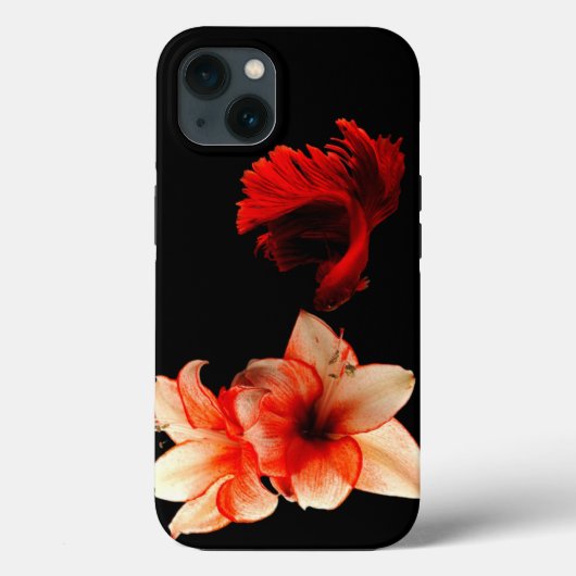 Zwarte cover (Achterkant)