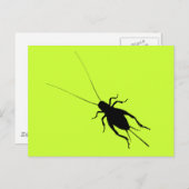 Zwarte cricket briefkaart (Voorkant / Achterkant)