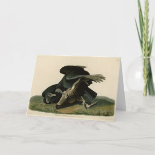 Zwarte cultuur, van de Amerikaanse vogels van Audu Kaart